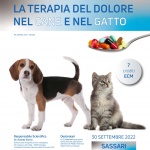 LA TERAPIA DEL DOLORE NEL CANE E NEL GATTO